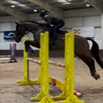 Holly Moody - @hollymoodyeventing_extras - Instagram