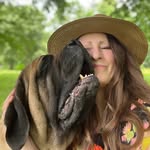 Holly Moody - @muddyflews_everythingdog - Instagram