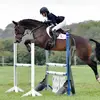 Hollymoody - @hollymoody_ - TikTok