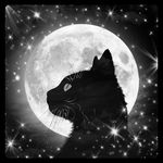Holly Moonwitch - @hollymoonwitch - Instagram