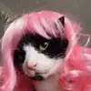 hollymoon - @hollymoon222 - TikTok