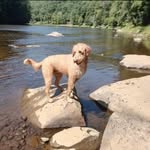 Holly Morelli - @morelli1231 - Instagram