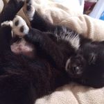 Holly Morin - @holly.morin.5074 - Instagram
