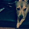 Holly Mortimer - @neille2890262 - TikTok