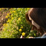 Holly  Mummert - @hollytree333 - Instagram