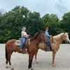 Cate - @holly.munn - TikTok