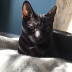 Holly Nicholas Mcheacon - @_hollybell.13_ - Instagram