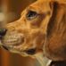 Holly Nowak - Facebook