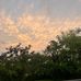 Hailey Nunemaker - Facebook