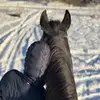 Holly - @holly.palm - TikTok