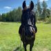 Holly Palm - Facebook