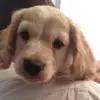 hollypalmer8 - @hollypalmer8 - TikTok