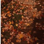 Holly 🍂🎃🧺🏀 - @holly_pineapple448 - Instagram