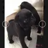 holly_pine - @holly_pine - TikTok