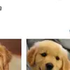 holly 😃😃😃 - @hollypippin.234 - TikTok