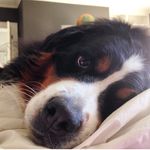 Holly Pippin - @holly.pippin - Instagram