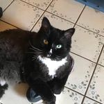 Holly Pitcher - @holly.pitcher.54 - Instagram