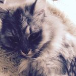 Holly Paris Pollock - @hollyparispollock - Instagram