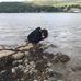 Holly Pollock - Facebook
