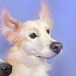 Holly Pond - @holly_pond - Instagram