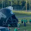 Hollypondgobroncos🐎💚🖤🤍 - @hollypondwander - TikTok