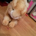 Holly potts - @hollypotts19 - Instagram
