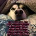 Holly Potts - Facebook