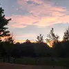 Holly Propst883 - @miellafarmgirl - TikTok