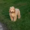 Holly_Raines - @rainesholly - TikTok