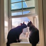 Holly Kutzer Ritchie - @hollykutzerritchie - Instagram