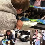 Holly Roberson - @life.with.3.cats - Instagram