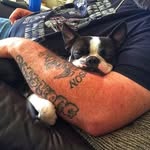 💖G Woody💖 - @21roccoandholly12 - Instagram