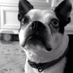 Holly & rocco - @hollyrocco6651 - Instagram