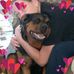 Holly Rocco - Facebook