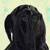 Holly.Rocco2021 - @holly.rocco2021 - TikTok