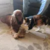 roccoholly - @roccoholly0 - TikTok