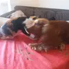 roccoholly - @roccoholly - TikTok