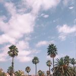 Holly Rock - @hollyrock__ - Instagram