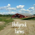 Hollyrock Farms - @hollyrock_farms - Instagram