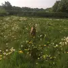 Holy Rock - @hollyjrock1 - TikTok