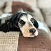 Holly Rollins - @hollyrollins8 - TikTok