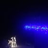 hollyrules - @hollyrules - TikTok