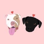 Holly & Sammy + Foster friends! - @gohollygosamson - Instagram