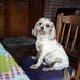 Alain Bourbier - Facebook