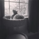 Holly, Evie And Sandy - @holly_and_evie1 - Instagram