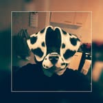 Holly Saye - @holzsmusically - Instagram