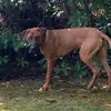 Holly Sayers - @ebird9 - TikTok