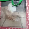 holly sayers - @hollys1 - TikTok