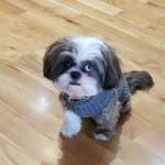 Holly Schabacker - @prin.cessharley2020 - Instagram