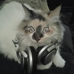 ✰ 𝐇𝐨𝐥𝐥𝐲 𝐒𝐜𝐡𝐨𝐟𝐢𝐞𝐥𝐝 ✰ - @h0llysch0field - Instagram